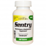 21st Century Sentry