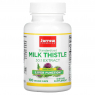 Jarrow Formulas Milk Thistle - Расторопша пятнистая