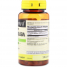 Mason Natural Ginkgo Biloba