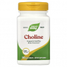 Nature's Way Choline 500 mg
