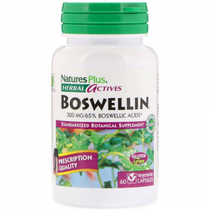 NaturesPlus Boswellin 300 mg