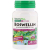 NaturesPlus Boswellin 300 mg