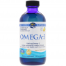 Nordic Naturals Omega-3 (237 мл)