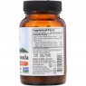 Organic India Turmeric Formula